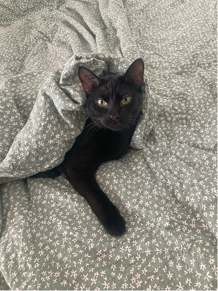 Iskra, my assistant