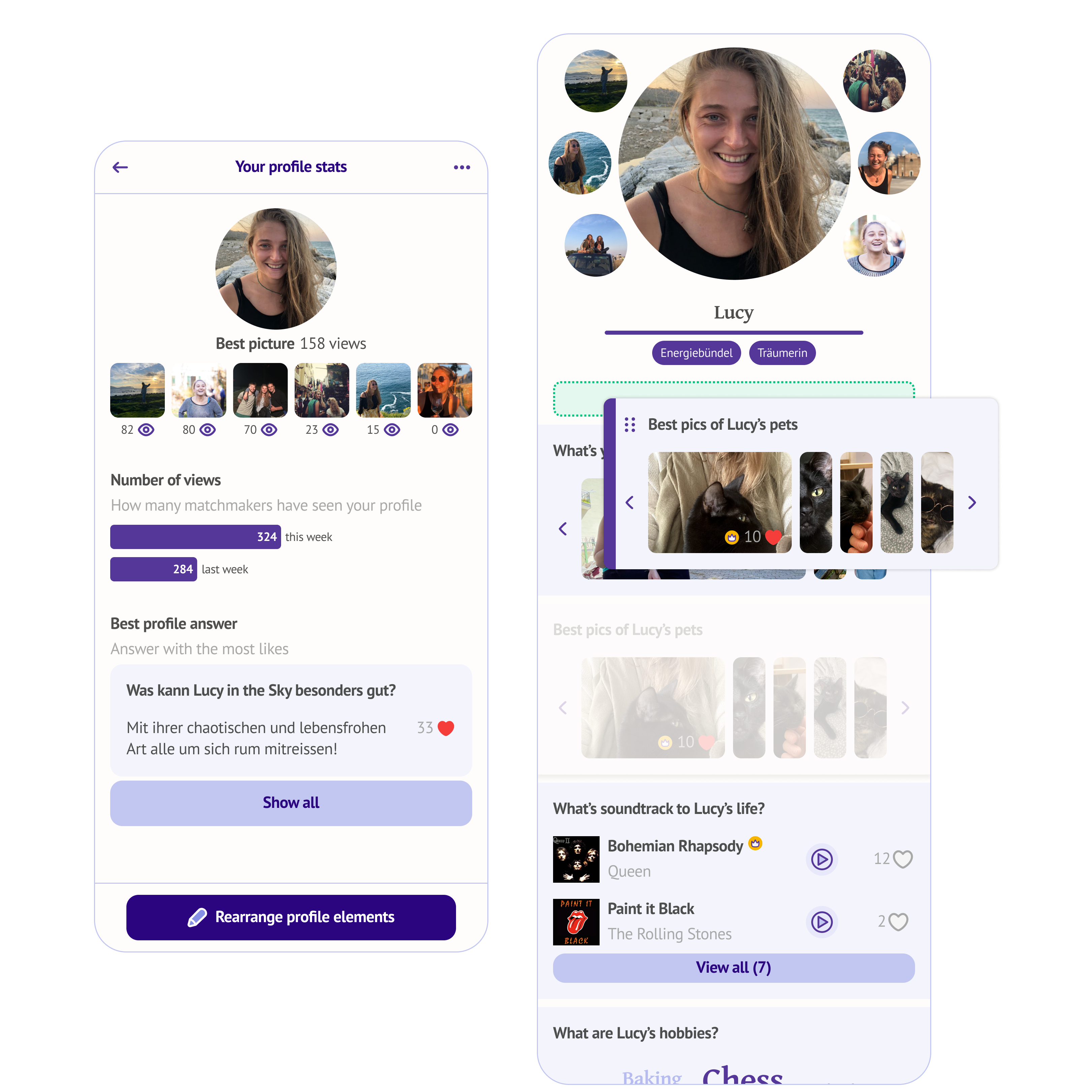 Profile Insights feature